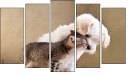 Pentaptych