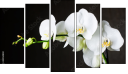 Pentaptych