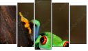 Pentaptych