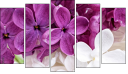 Pentaptych