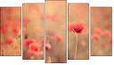 Pentaptych