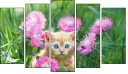 Pentaptych