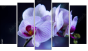 Pentaptych