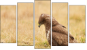 Pentaptych