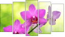 Pentaptych