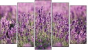 Pentaptych