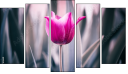 Pentaptych