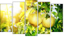 Pentaptych