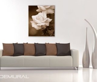 the scent of a rose posters flowers posters demural