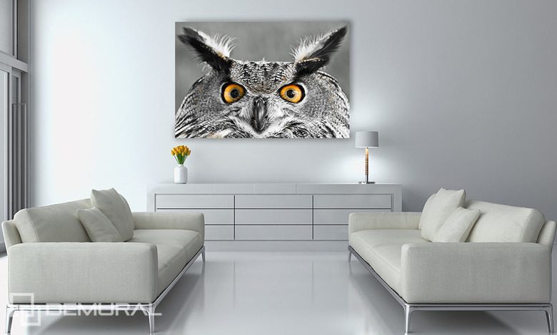 wise owl look posters in living room posters demural