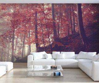 forest slope forest wallpaper mural photo wallpapers demural