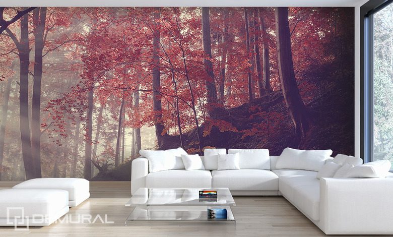 forest slope forest wallpaper mural photo wallpapers demural