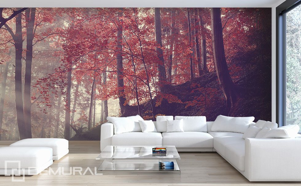 Forest slope Forest wallpaper mural Photo wallpapers Demural