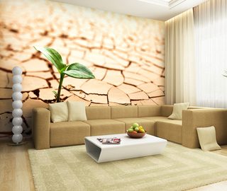 on dry ground living room wallpaper mural photo wallpapers demural