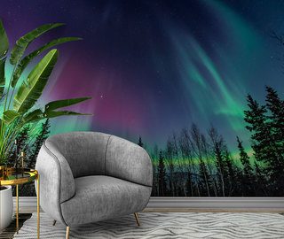 the hypnotic aurora borealis landscapes wallpaper mural photo wallpapers demural
