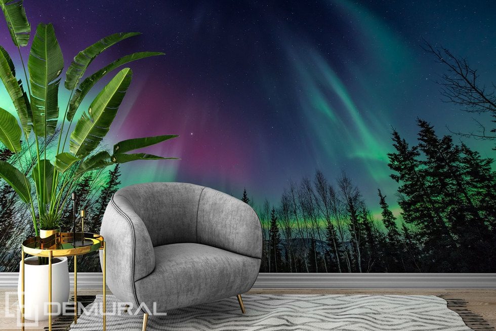 The hypnotic aurora borealis - Landscapes wallpaper mural - Photo wallpapers  | Demural®