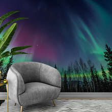 The-hypnotic-aurora-borealis-landscapes-wallpaper-mural-photo-wallpapers-demural