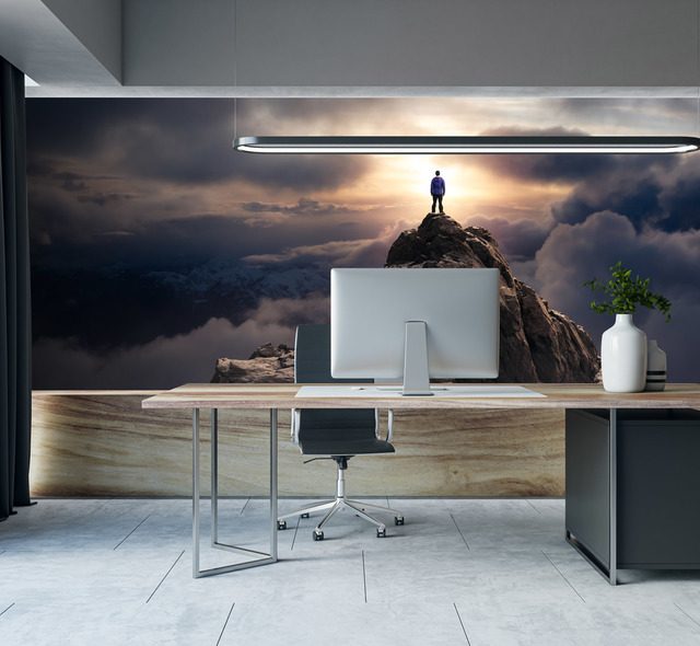 standing on top of the world office wallpaper mural photo wallpapers demural