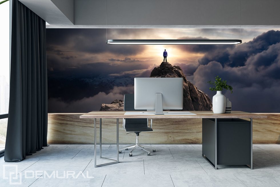 Standing on top of the world Office wallpaper mural Photo wallpapers Demural