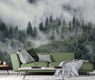 morning mist over a forest landscape landscapes wallpaper mural photo wallpapers demural