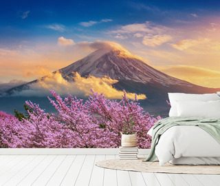 volcanic harmony with blooming cherry blossoms landscapes wallpaper mural photo wallpapers demural