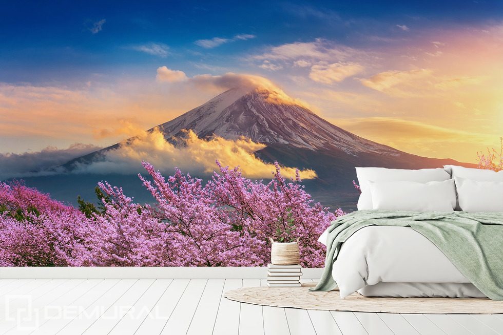 Volcanic Harmony with Blooming Cherry Blossoms Landscapes wallpaper mural Photo wallpapers Demural
