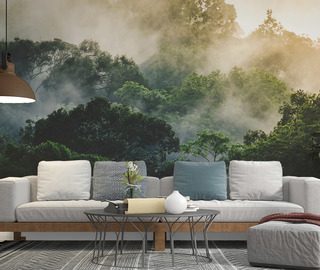 morning mist over a tropical forest living room wallpaper mural photo wallpapers demural