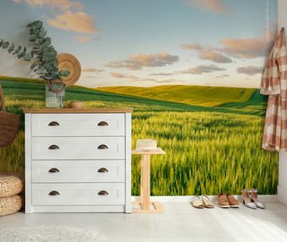 sunny hills at sunset landscapes wallpaper mural photo wallpapers demural