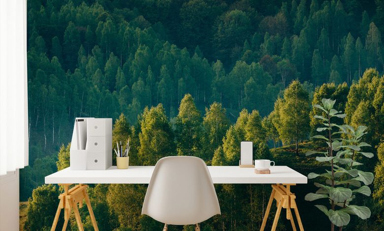 forest depth with a view of the trees landscapes wallpaper mural photo wallpapers demural