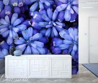 royal blue flowers wallpaper mural photo wallpapers demural
