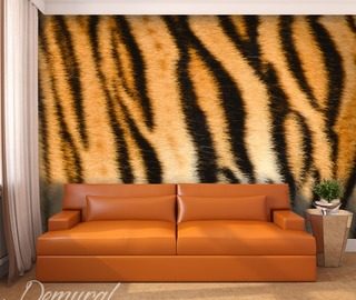 tiger s print patterns wallpaper mural photo wallpapers demural