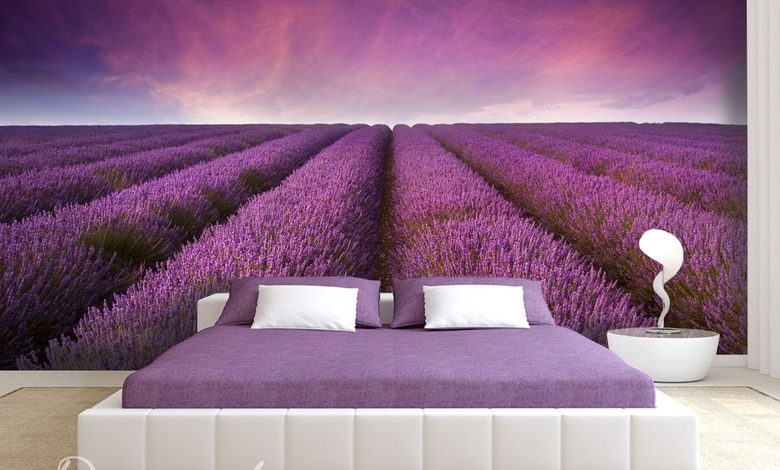 lavender fantasy provence wallpaper mural photo wallpapers demural