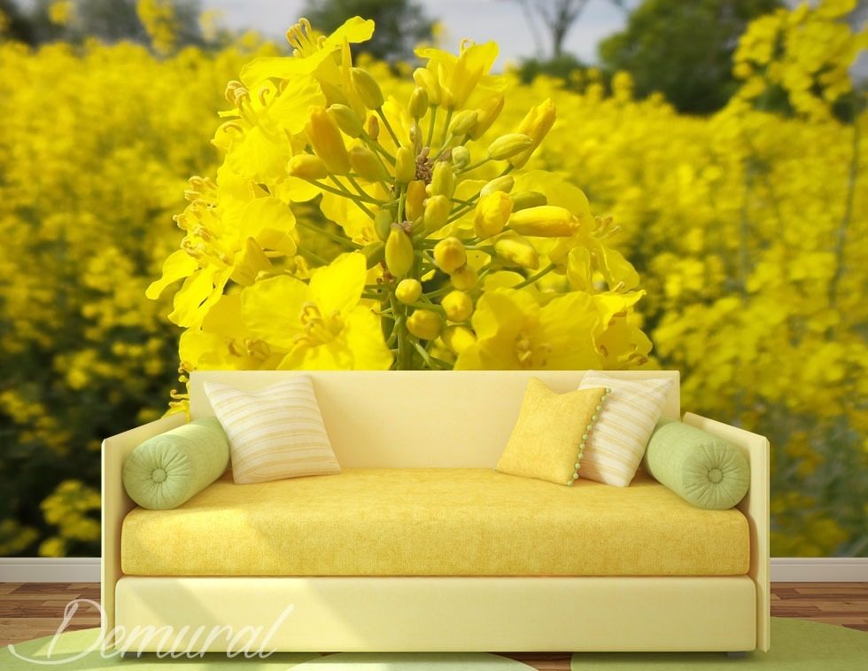 Rapeseed field Flowers wallpaper mural Photo wallpapers Demural