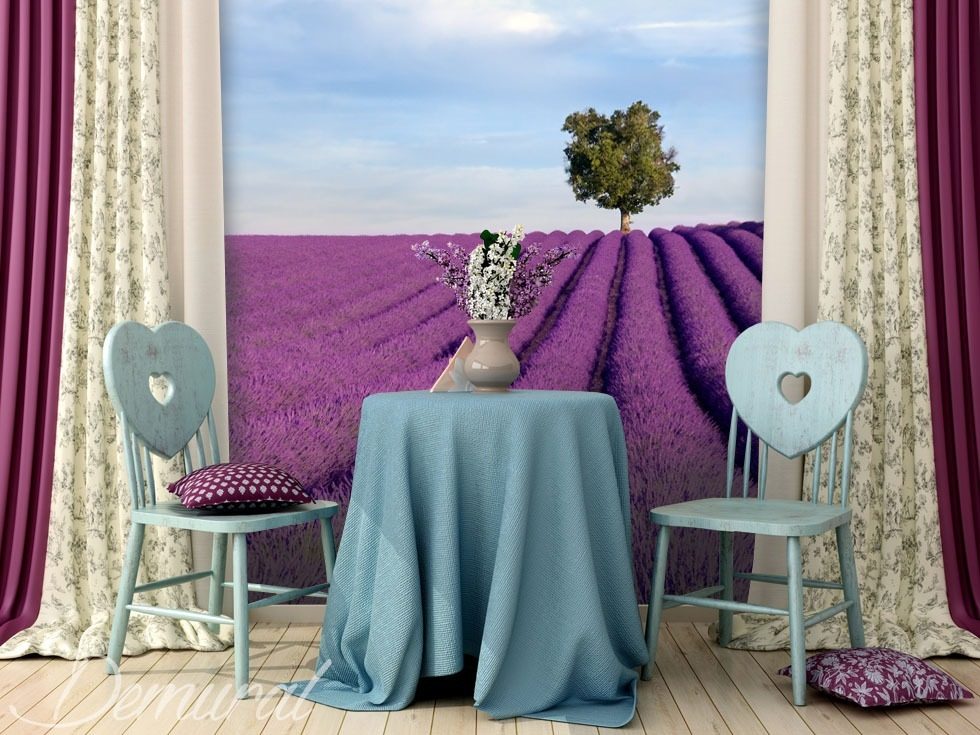 Gentle lavender fields Provence wallpaper mural Photo wallpapers Demural