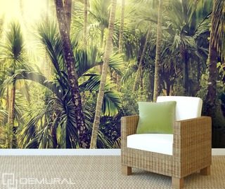 in a wild jungle forest wallpaper mural photo wallpapers demural
