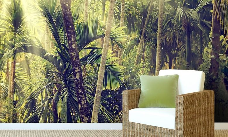 in a wild jungle forest wallpaper mural photo wallpapers demural