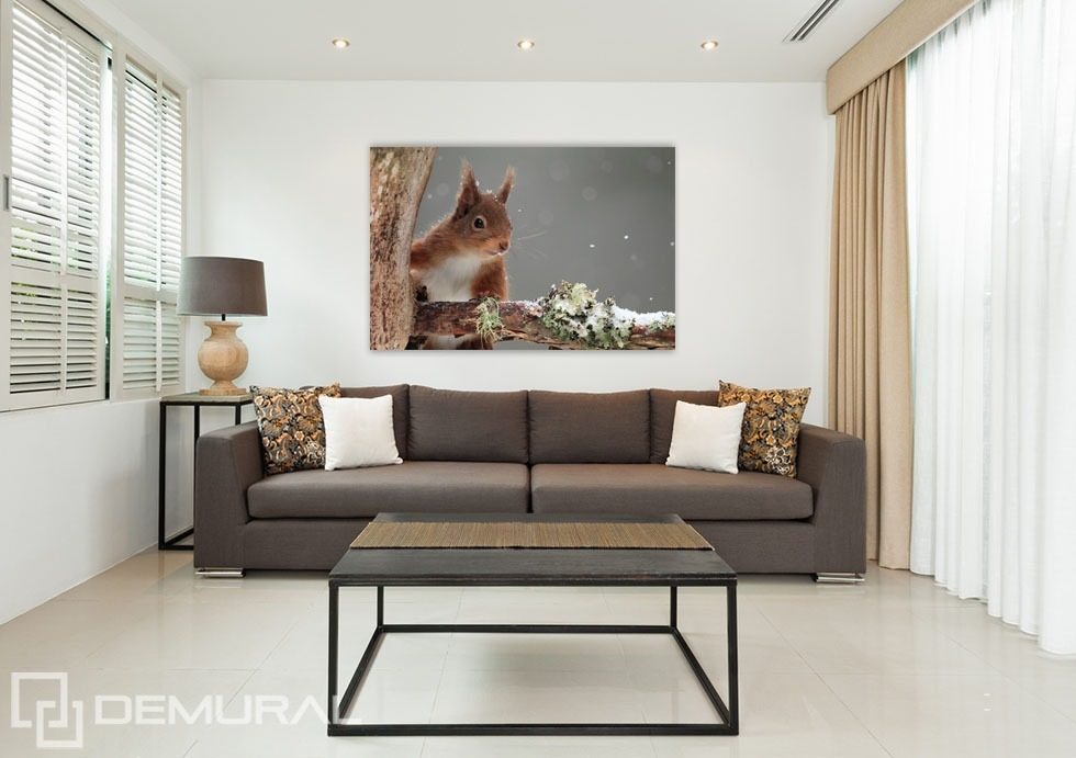 Adorable squirrel Posters in living room Posters Demural