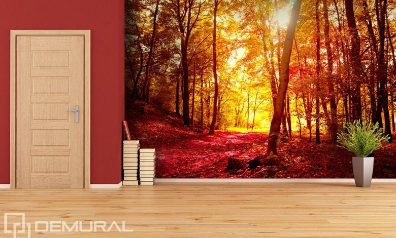 autumn walk in the forest forest wallpaper mural photo wallpapers demural