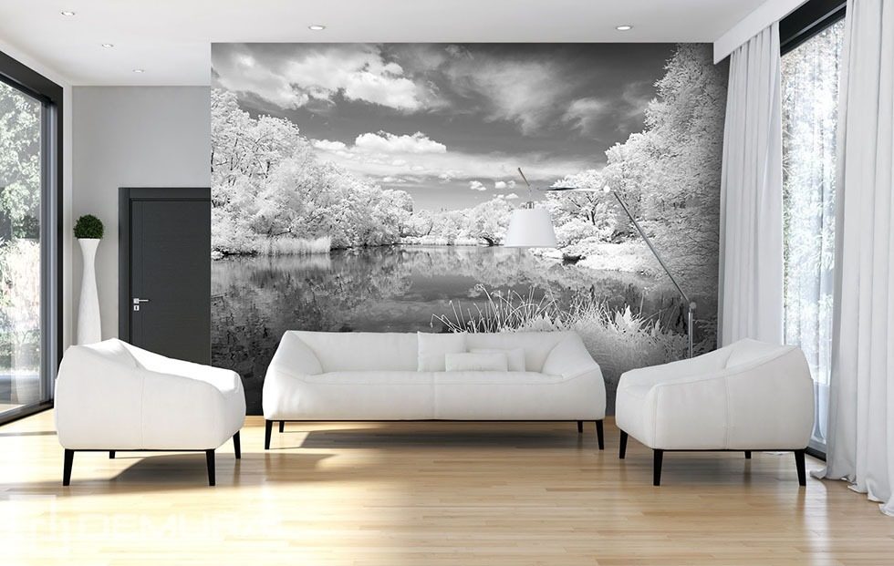 Grey lake Black  and white  wallpaper  mural Photo 