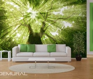 sunbeams in greenery forest wallpaper mural photo wallpapers demural