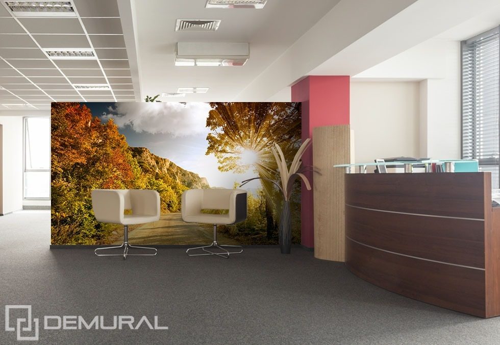 Sunny alley Office wallpaper mural Photo wallpapers Demural