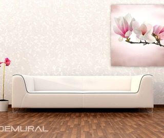 blooming magnolia posters flowers posters demural