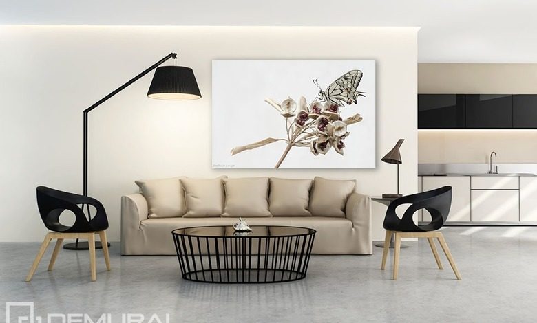 relaxing butterfly posters in living room posters demural