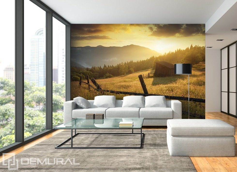 On a mountain pasture Landscapes wallpaper mural Photo wallpapers Demural