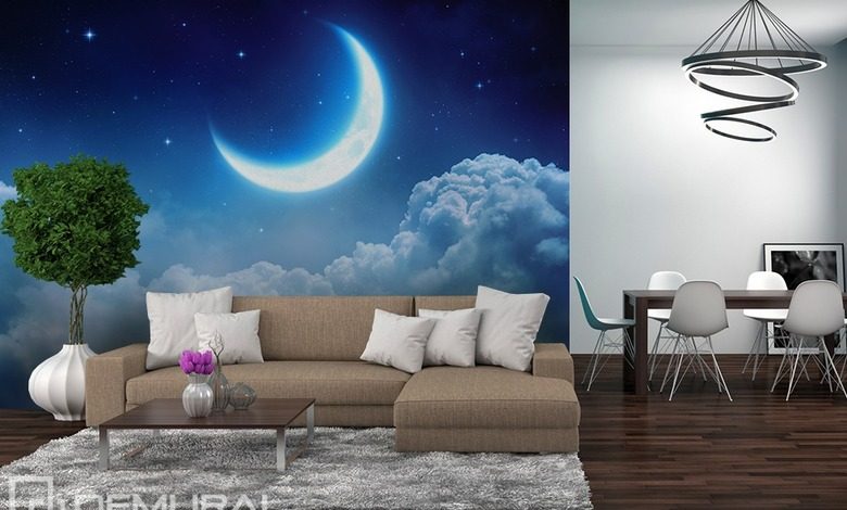 dreaming moon cosmos wallpaper mural photo wallpapers demural