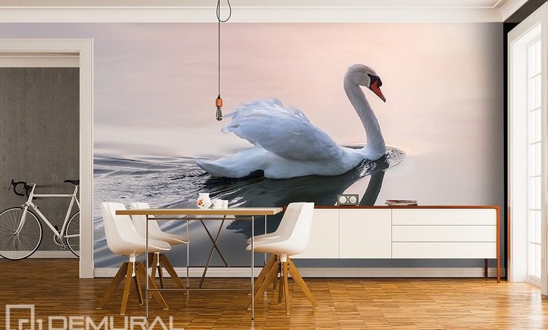 softly swan song animals wallpaper mural photo wallpapers demural