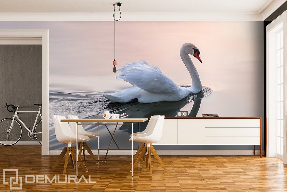 Softly, swan song Animals wallpaper mural Photo wallpapers Demural