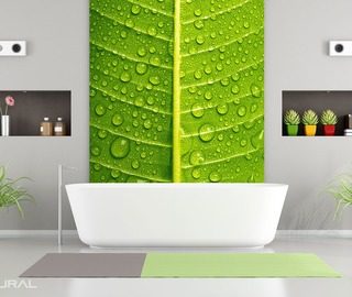 green intimate close ups bathroom wallpaper mural photo wallpapers demural