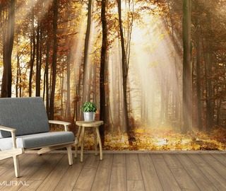 i will tell you a fairytale about forest forest wallpaper mural photo wallpapers demural