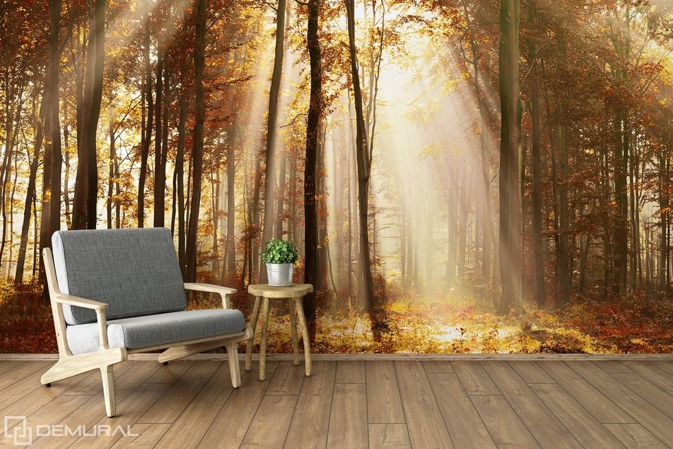 I will tell you a fairytale about forest Forest wallpaper mural Photo wallpapers Demural